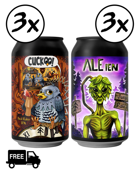 MixPack Ale 6